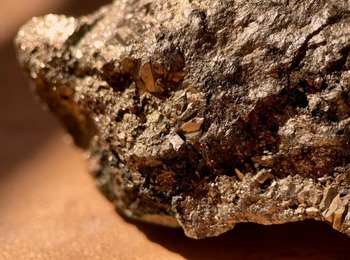 STJ mantém prisão preventiva de suspeito de liderar garimpo ilegal no Amazonas